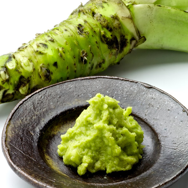 wasabi paste 600x600