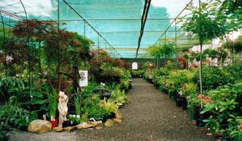 Shade House