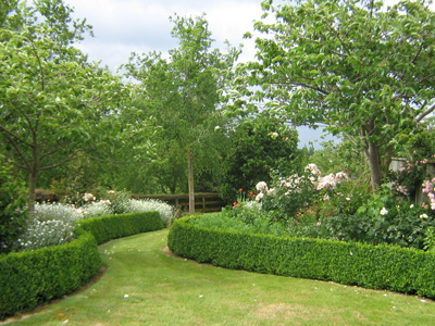landscaping2