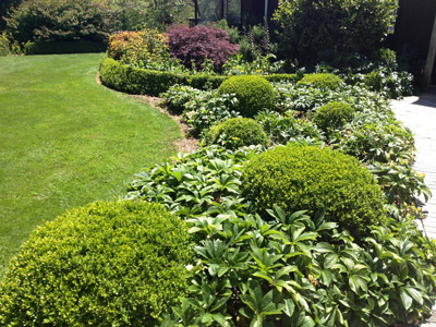 Landscaping3