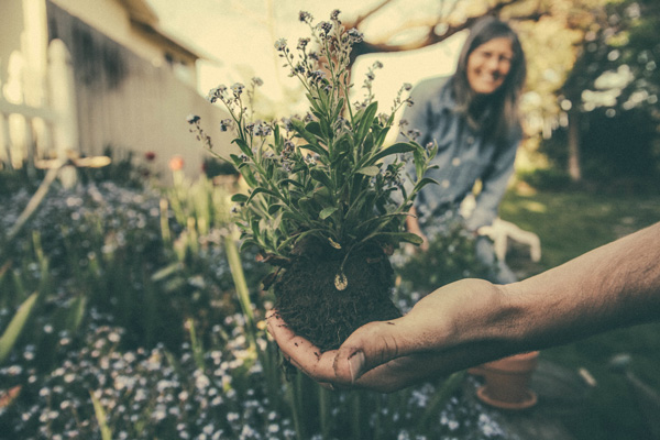 Organic Gardening