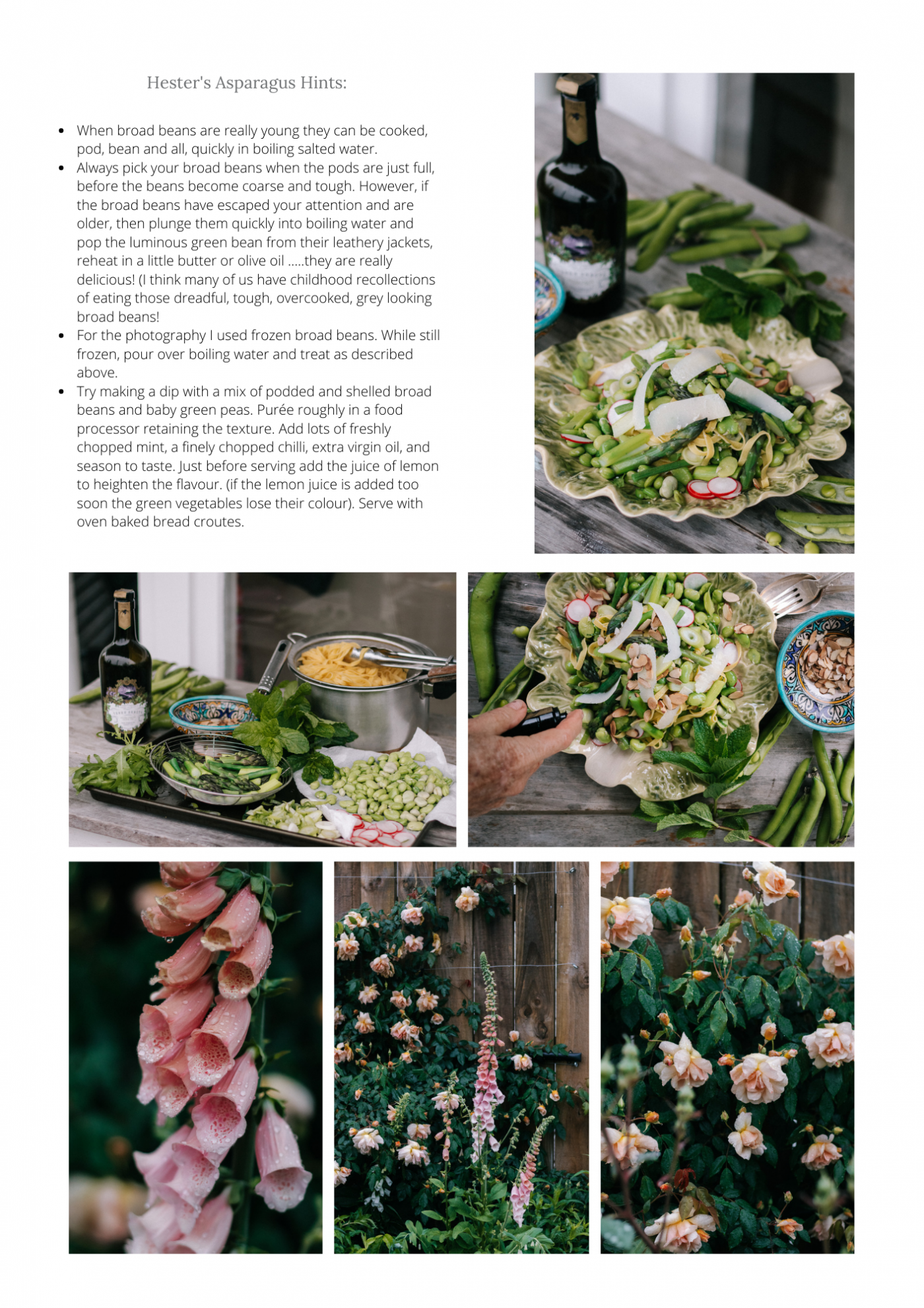 Broadbean asparagus mint pasta 2