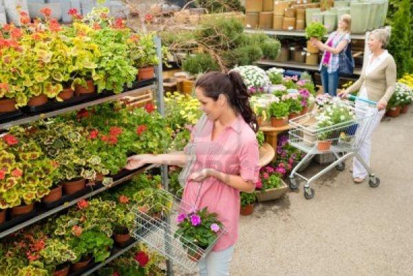 Shopper