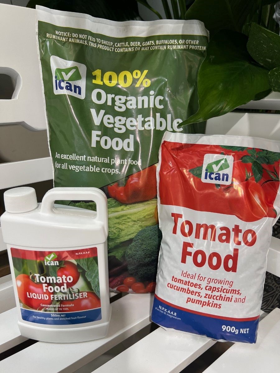 tomato foods plus vege food ican GD