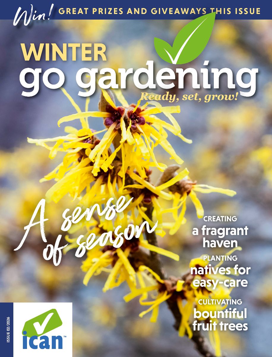 winter gg 2026